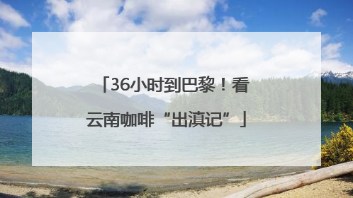 36小时到巴黎！看云南咖啡“出滇记”