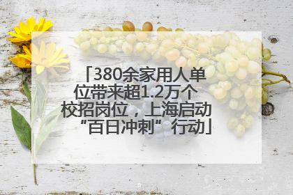 380余家用人单位带来超1.2万个校招岗位，上海启动“百日冲刺”行动