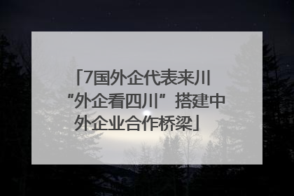 7国外企代表来川 “外企看四川”搭建中外企业合作桥梁