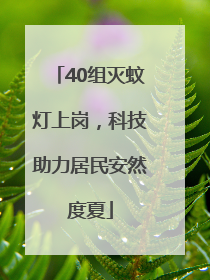 40组灭蚊灯上岗，科技助力居民安然度夏