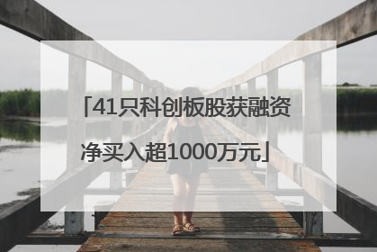 41只科创板股获融资净买入超1000万元