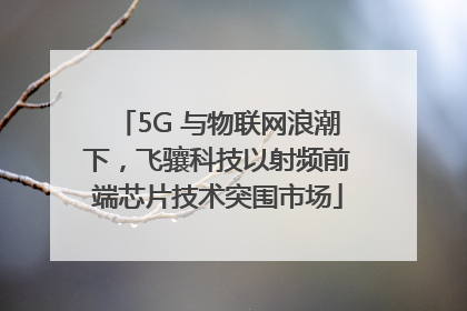 5G 与物联网浪潮下，飞骧科技以射频前端芯片技术突围市场