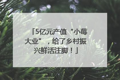 5亿元产值“小莓大业”，给了乡村振兴鲜活注脚！