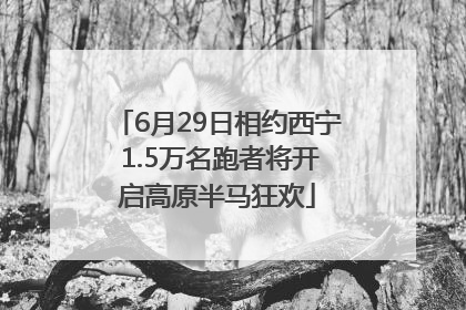 6月29日相约西宁 1.5万名跑者将开启高原半马狂欢