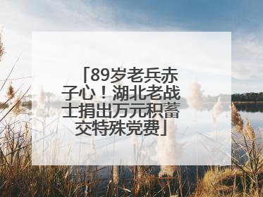 89岁老兵赤子心！湖北老战士捐出万元积蓄交特殊党费