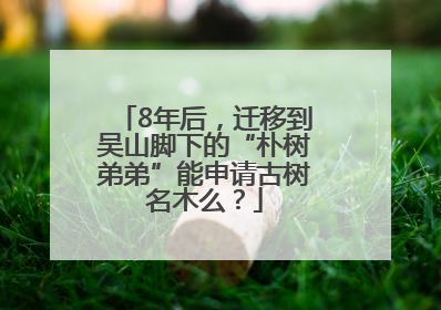 8年后，迁移到吴山脚下的“朴树弟弟”能申请古树名木么？