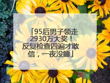 95后男子领走2930万大奖！反复检查四遍才敢信，一夜没睡