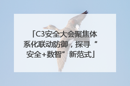 C3安全大会聚焦体系化联动防御，探寻“安全+数智”新范式