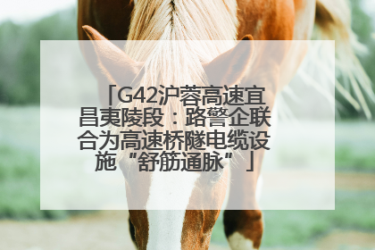 G42沪蓉高速宜昌夷陵段：路警企联合为高速桥隧电缆设施“舒筋通脉”
