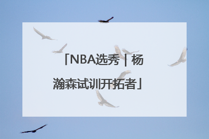 NBA选秀｜杨瀚森试训开拓者